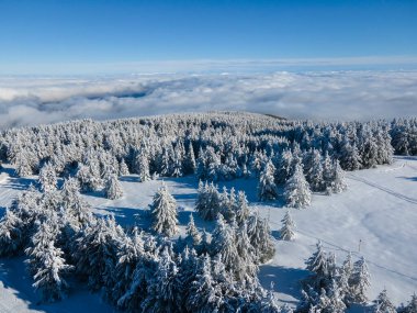 Bulgaristan 'ın Sofya Şehir Bölgesi, Vitosha Dağı' nın Hava Kış Manzarası