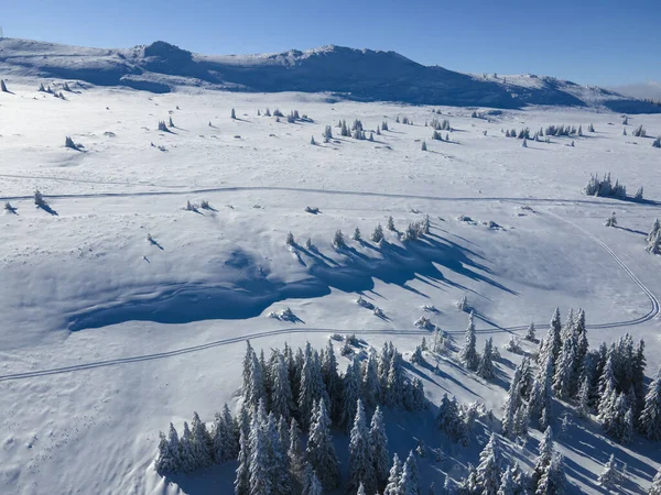 Aerial Winter View Vitosha Mountain Περιφέρεια Πόλης Της Σόφιας Βουλγαρία — Φωτογραφία Αρχείου