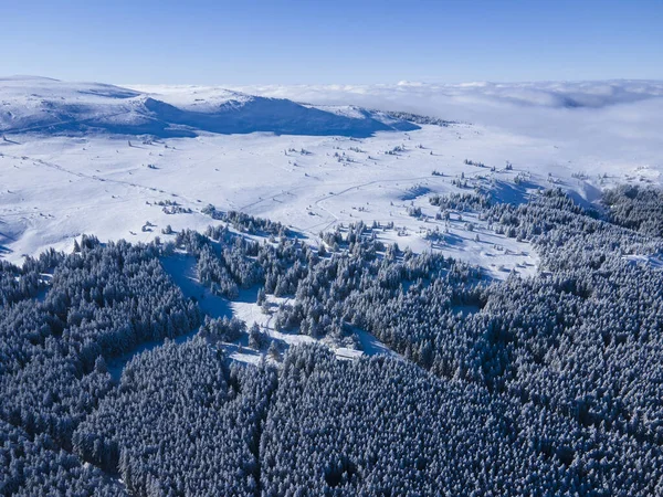 Aerial Winter View Vitosha Mountain Περιφέρεια Πόλης Της Σόφιας Βουλγαρία — Φωτογραφία Αρχείου