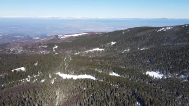 Vue Aérienne Hiver Montagne Vitosha Ofeliite Région Sofia Bulgarie — Video