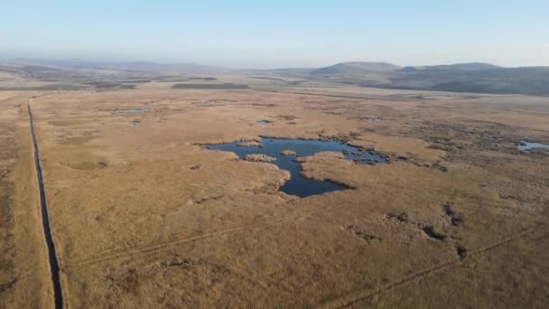 Vue Aérienne Automne Marais Dragoman Région Sofia Bulgarie — Video