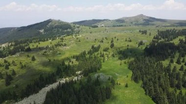 Bulgaristan 'ın Sofya Şehir Bölgesi, Vitosha Dağı' ndaki Konyarnika bölgesinin havadan görüntüsü