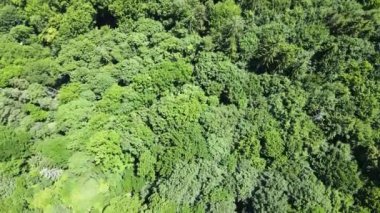 Bulgaristan 'ın Vitosha dağındaki Ortodoks Dragalevtsi manastırının havadan yaz manzarası