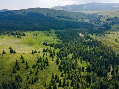 Bulgaristan 'ın Sofya Şehir Bölgesi, Vitosha Dağı' ndaki Konyarnika bölgesinin havadan görüntüsü