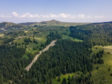 Bulgaristan 'ın Sofya Şehir Bölgesi, Vitosha Dağı' ndaki Konyarnika bölgesinin havadan görüntüsü