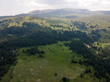 Bulgaristan 'ın Sofya Şehir Bölgesi, Vitosha Dağı' ndaki Konyarnika bölgesinin havadan görüntüsü
