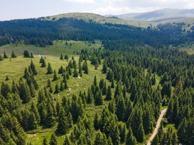 Bulgaristan 'ın Sofya Şehir Bölgesi, Vitosha Dağı' ndaki Konyarnika bölgesinin havadan görüntüsü