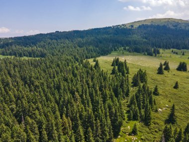 Bulgaristan 'ın Sofya Şehir Bölgesi, Vitosha Dağı' ndaki Konyarnika bölgesinin havadan görüntüsü