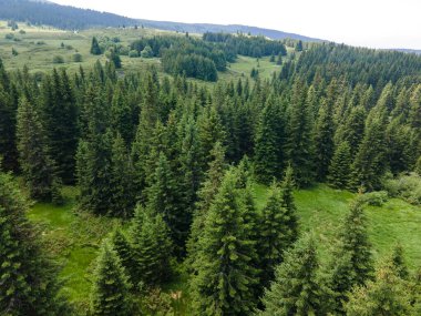 Bulgaristan 'ın Sofya Şehir Bölgesi, Vitosha Dağı' ndaki Konyarnika bölgesinin havadan görüntüsü
