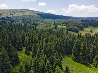 Bulgaristan 'ın Sofya Şehir Bölgesi, Vitosha Dağı' ndaki Konyarnika bölgesinin havadan görüntüsü