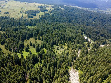 Bulgaristan 'ın Sofya Şehir Bölgesi, Vitosha Dağı' ndaki Konyarnika bölgesinin havadan görüntüsü