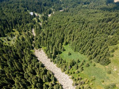 Bulgaristan 'ın Sofya Şehir Bölgesi, Vitosha Dağı' ndaki Konyarnika bölgesinin havadan görüntüsü