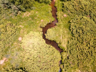 Bulgaristan 'ın Sofya Şehir Bölgesi, Vitosha Dağı' ndaki Konyarnika bölgesinin havadan görüntüsü