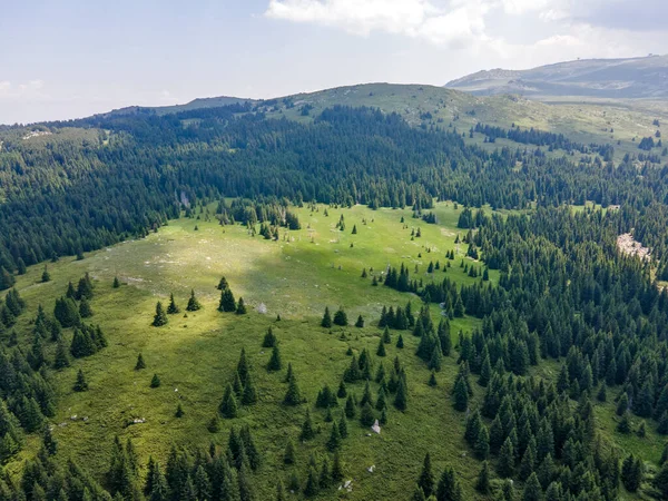 Bulgaristan 'ın Sofya Şehir Bölgesi, Vitosha Dağı' ndaki Konyarnika bölgesinin havadan görüntüsü