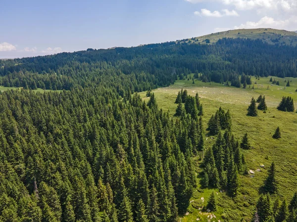 Bulgaristan 'ın Sofya Şehir Bölgesi, Vitosha Dağı' ndaki Konyarnika bölgesinin havadan görüntüsü