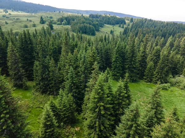 Bulgaristan 'ın Sofya Şehir Bölgesi, Vitosha Dağı' ndaki Konyarnika bölgesinin havadan görüntüsü