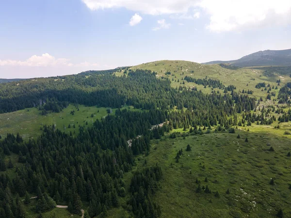 Bulgaristan 'ın Sofya Şehir Bölgesi, Vitosha Dağı' ndaki Konyarnika bölgesinin havadan görüntüsü