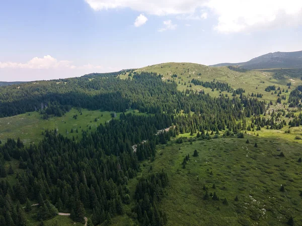 Vista Aérea Del Área Konyarnika Montaña Vitosha Región Ciudad Sofía — Foto de Stock