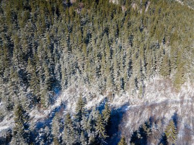 Bulgaristan 'ın Sofya Bölgesi Beli Iskar nehri yakınlarındaki Rila Dağı' nın kış manzarası