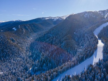 Bulgaristan 'ın Sofya Bölgesi' ndeki Borovets kayak merkezi yakınlarındaki Rila Dağı 'nın kış manzarası