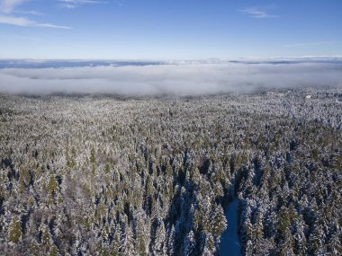 Bulgaristan 'ın Sofya Bölgesi' ndeki Borovets kayak merkezi yakınlarındaki Rila Dağı 'nın kış manzarası