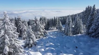 Bulgaristan 'ın Sofya Şehir Bölgesi, Vitosha Dağı' nın Hava Kış Manzarası