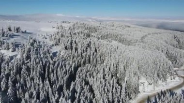 Bulgaristan 'ın Sofya Şehir Bölgesi, Vitosha Dağı' nın Hava Kış Manzarası