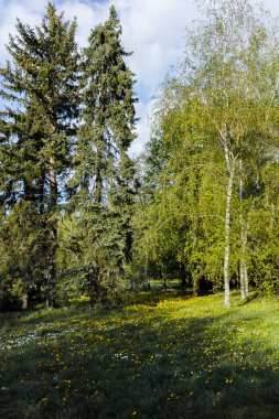 SOFIA, BULGARIA - APRIL 30, 2022: Amazing Spring view of South Park in city of Sofia, Bulgaria