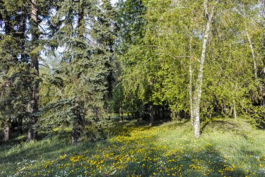 SOFYA, BULGARIA - 30 Nisan 2022: Bulgaristan 'ın Sofya kentindeki South Park' ın şaşırtıcı bahar manzarası