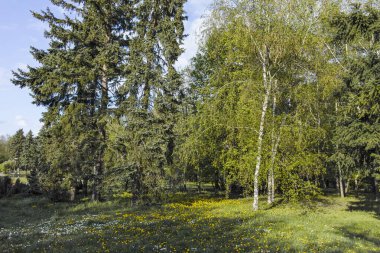 SOFYA, BULGARIA - 30 Nisan 2022: Bulgaristan 'ın Sofya kentindeki South Park' ın şaşırtıcı bahar manzarası