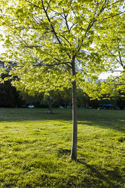 Sofia Bulgaria April 2022 Amazing Spring View South Park City — Stock fotografie