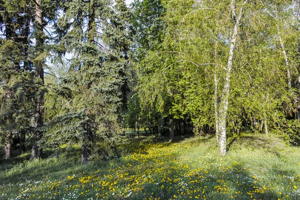 SOFYA, BULGARIA - 30 Nisan 2022: Bulgaristan 'ın Sofya kentindeki South Park' ın şaşırtıcı bahar manzarası