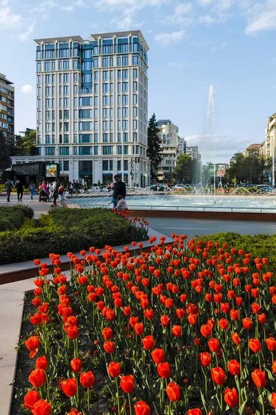 SOFYA, BULGARIA - 30 Nisan 2022: Bulgaristan 'ın Sofya kentindeki South Park' ın şaşırtıcı bahar manzarası