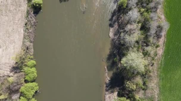 Chepelarska河的空中景观 注入保加利亚普罗夫迪夫市附近的Maritsa河 — 图库视频影像