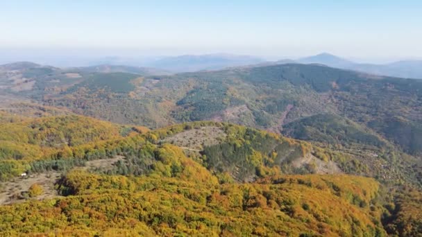 Удивительный Осенний Пейзаж Горы Эрул Возле Пика Големи Регион Перник — стоковое видео