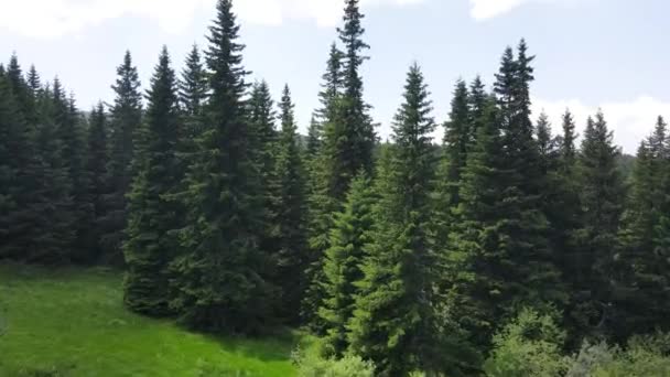 Vue Aérienne Région Konyarnika Montagne Vitosha Région Sofia Bulgarie — Video