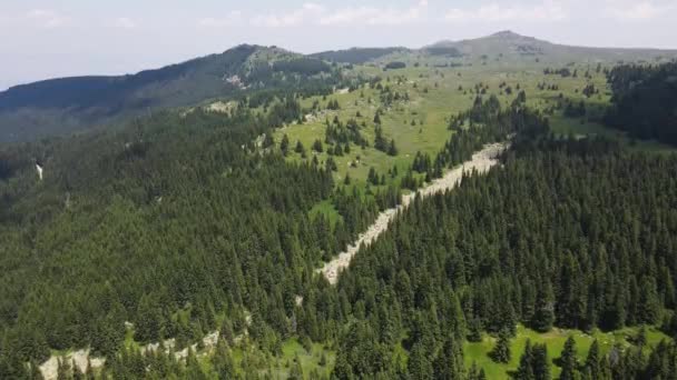 Vue Aérienne Région Konyarnika Montagne Vitosha Région Sofia Bulgarie — Video