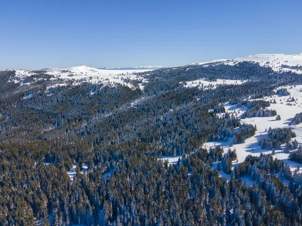 Zimowy Widok Lotu Ptaka Górę Vitosha Obszarze Ofeliite Obwód Sofijski — Zdjęcie stockowe