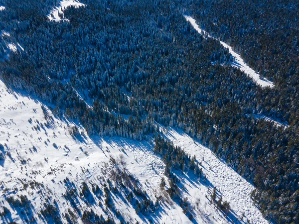 Bulgaristan 'ın Sofya Şehir Bölgesi Ofeliite bölgesindeki Vitosha Dağı' nın Hava Kış Manzarası
