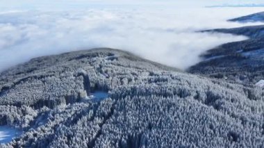 Bulgaristan 'ın Sofya Şehir Bölgesi, Vitosha Dağı' nın Hava Kış Manzarası