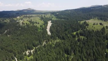 Bulgaristan 'ın Sofya Şehir Bölgesi, Vitosha Dağı' ndaki Konyarnika bölgesinin havadan görüntüsü