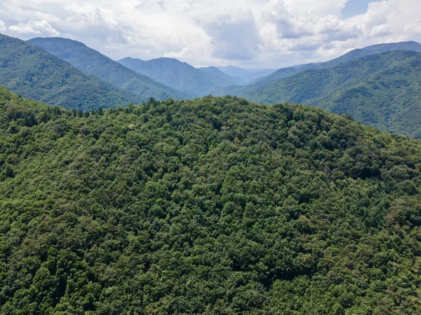 Bulgaristan 'ın Filibe Bölgesi' ndeki Kızıl Duvar zirvesi yakınlarındaki Rodop Dağları 'nın şaşırtıcı hava manzarası