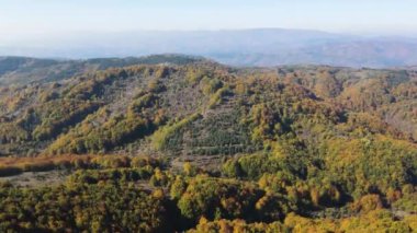 Bulgaristan 'ın Pernik Bölgesi Golemi zirvesi yakınlarındaki Erul dağının şaşırtıcı sonbahar manzarası