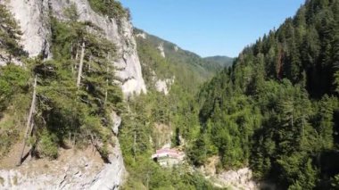 Bulgaristan 'ın Smolyan Bölgesi, Rodop Dağları' ndaki Trigrad Boğazı 'nın hava manzarası