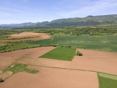 Bulgaristan 'ın Sofya bölgesindeki Godech kasabası yakınlarındaki kırsal arazinin bahar havası manzarası