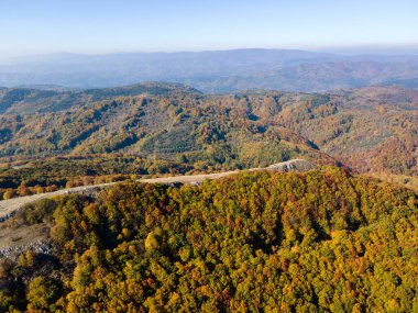 Bulgaristan 'ın Pernik Bölgesi Golemi zirvesi yakınlarındaki Erul dağının şaşırtıcı sonbahar manzarası