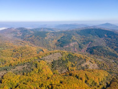 Bulgaristan 'ın Pernik Bölgesi Golemi zirvesi yakınlarındaki Erul dağının şaşırtıcı sonbahar manzarası