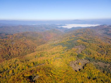 Bulgaristan 'ın Pernik Bölgesi Golemi zirvesi yakınlarındaki Erul dağının şaşırtıcı sonbahar manzarası