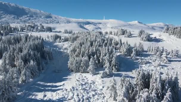 Vista Aérea Invierno Montaña Vitosha Región Ciudad Sofía Bulgaria — Vídeos de Stock