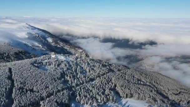 Vista Aérea Invierno Montaña Vitosha Región Ciudad Sofía Bulgaria — Vídeos de Stock